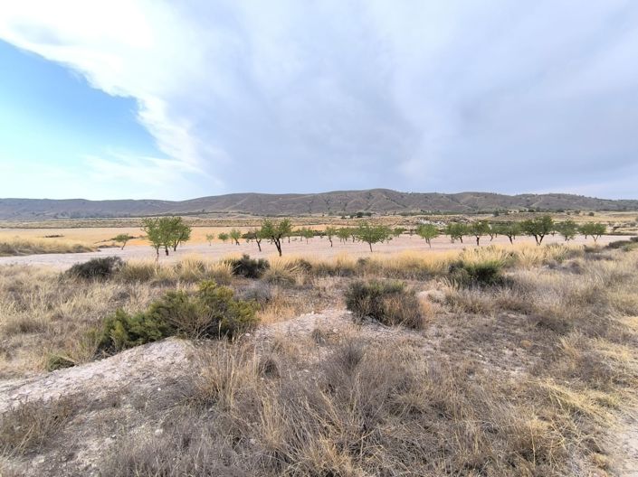 Image No.22-6 Bed Country House for sale