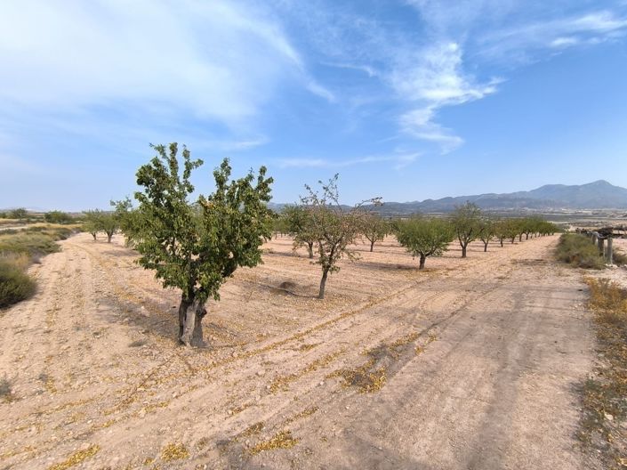 Image No.23-6 Bed Country House for sale