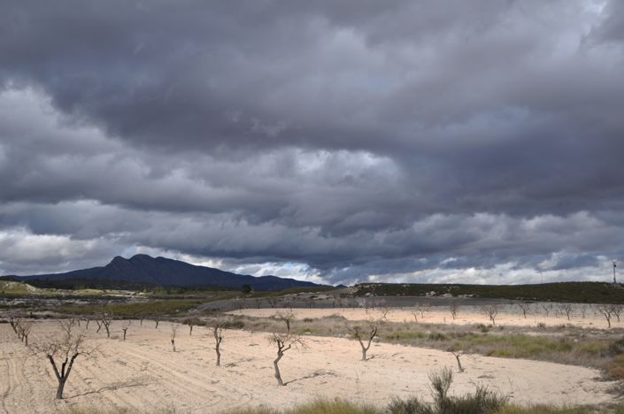 Image No.5-6 Bed Country House for sale