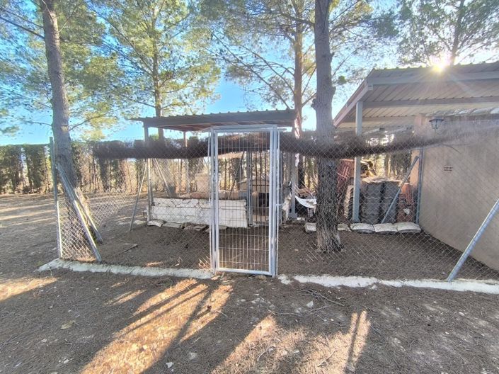 Image No.20-5 Bed Villa for sale