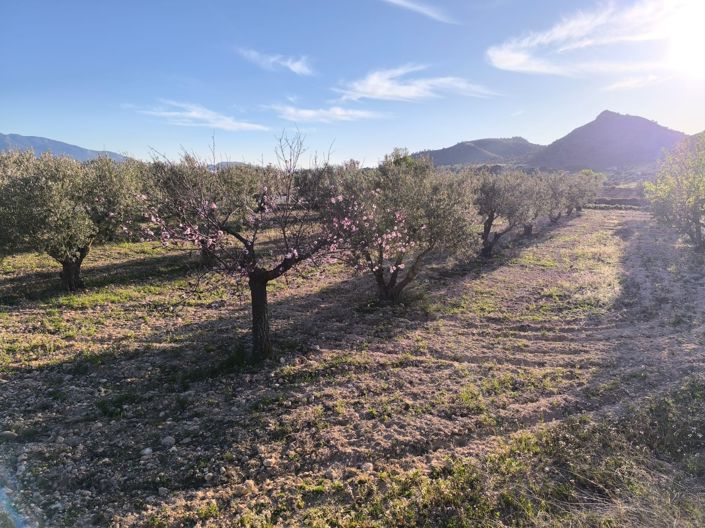 Image No.21-3 Bed Villa for sale