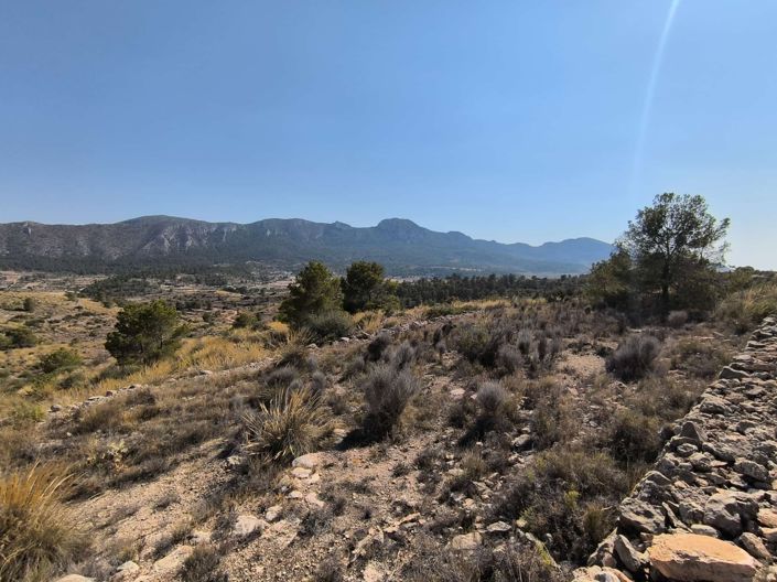 Image No.1-Land for sale