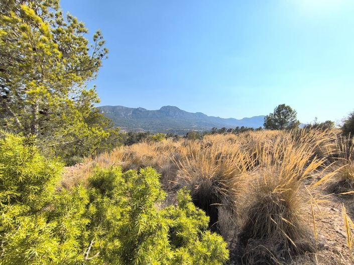 Image No.3-Land for sale