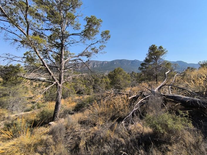 Image No.5-Land for sale