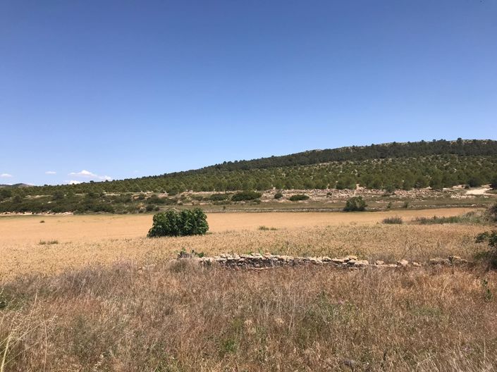 Image No.17-Maison de campagne de 8 chambres à vendre à Yecla