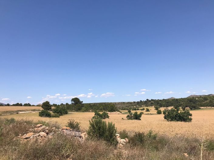 Image No.18-Maison de campagne de 8 chambres à vendre à Yecla