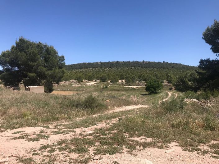 Image No.20-Maison de campagne de 8 chambres à vendre à Yecla