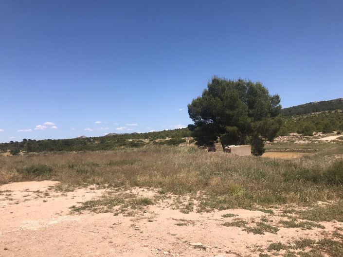 Image No.23-Maison de campagne de 8 chambres à vendre à Yecla