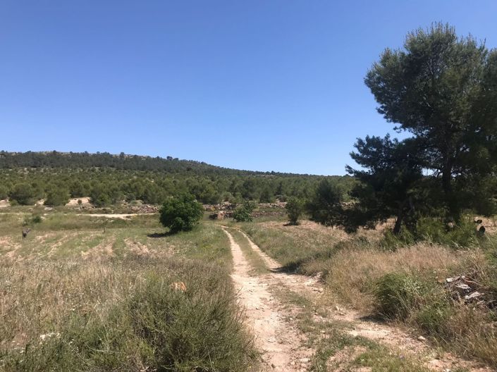 Image No.24-Maison de campagne de 8 chambres à vendre à Yecla