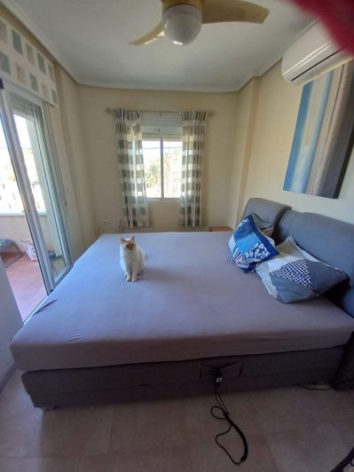 Image No.8-Villa de 3 chambres à vendre à Abanilla