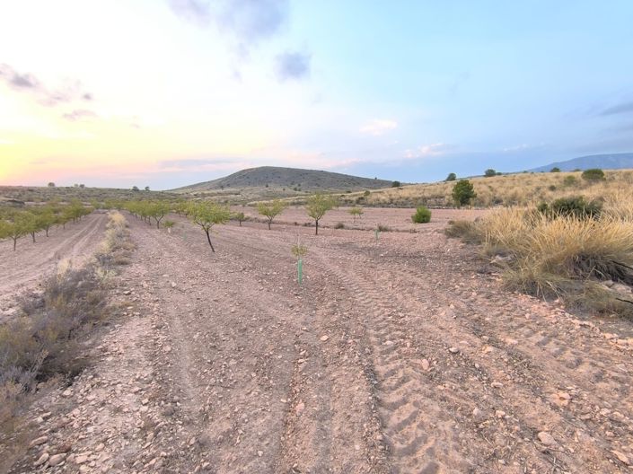 Image No.1-Land for sale
