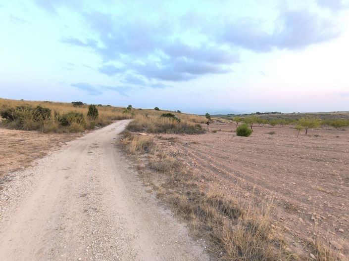 Image No.3-Terre à vendre à Pinoso