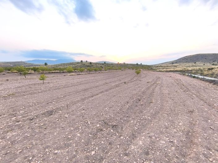 Image No.5-Terre à vendre à Pinoso