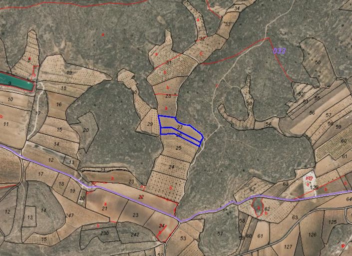 Image No.6-Terre à vendre à Pinoso