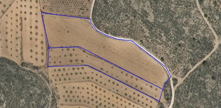 Image No.7-Terre à vendre à Pinoso