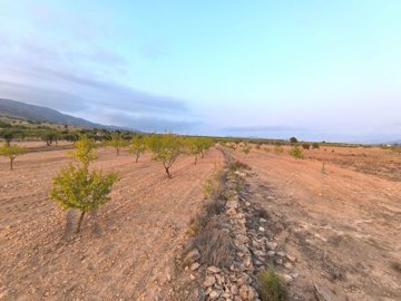 o1j3e7jd4rrb2apd1ivq4nc4ss1i