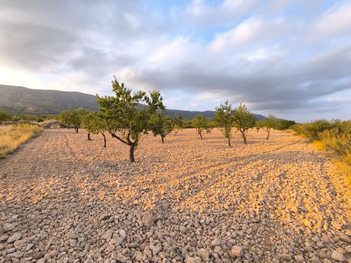 Image No.2-Land for sale