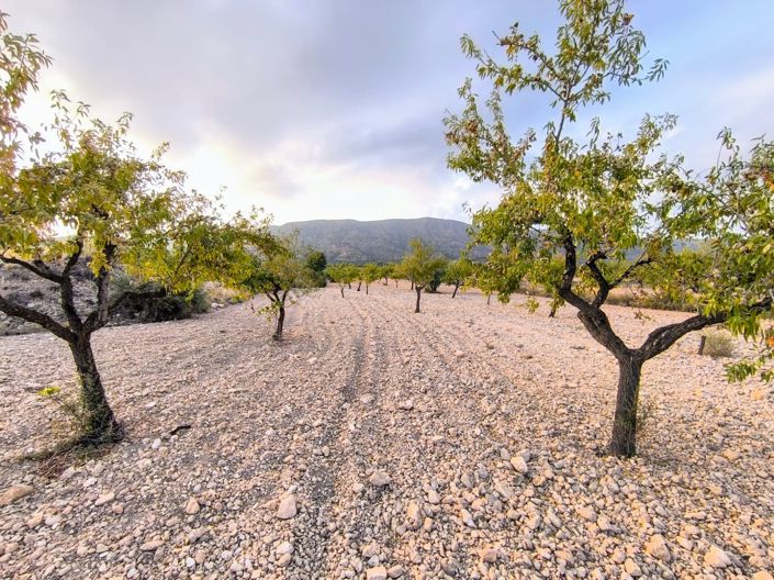 Image No.4-Land for sale