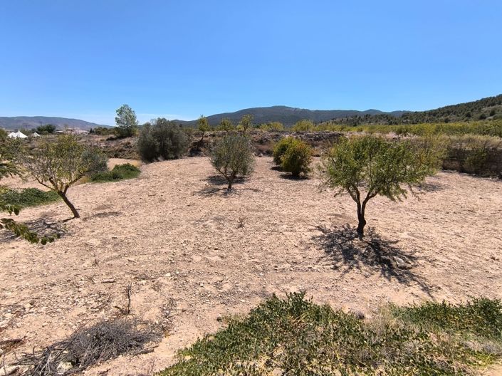 Image No.13-Propriété de 3 chambres à vendre à Chinorlet