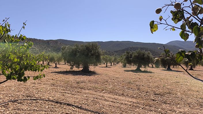 Image No.13-2 Bed Country House for sale