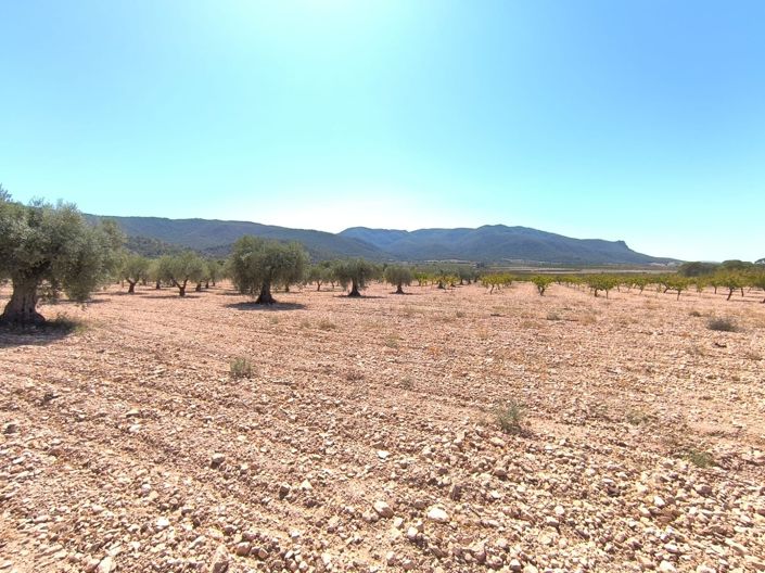 Image No.14-2 Bed Country House for sale