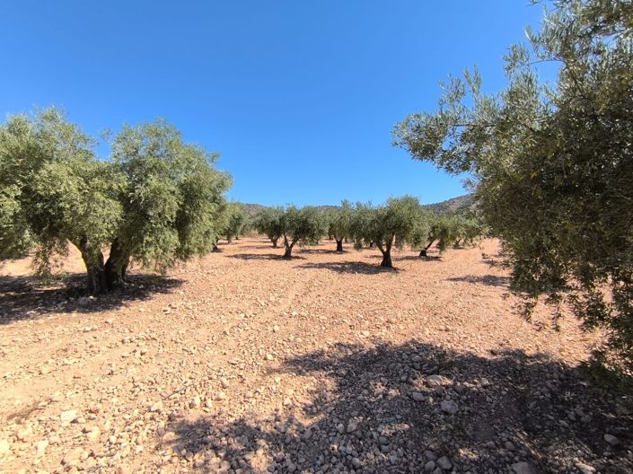 Image No.15-2 Bed Country House for sale