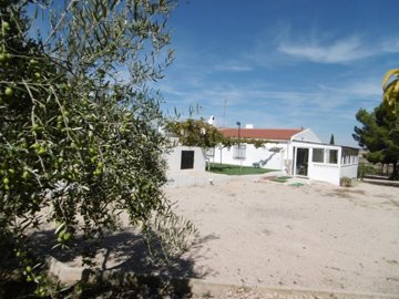 Stratus International most sold property