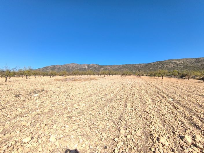 Image No.1-Land for sale