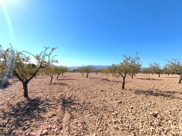 Image No.2-Land for sale