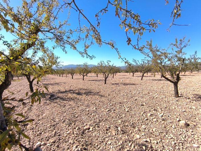 Image No.3-Land for sale