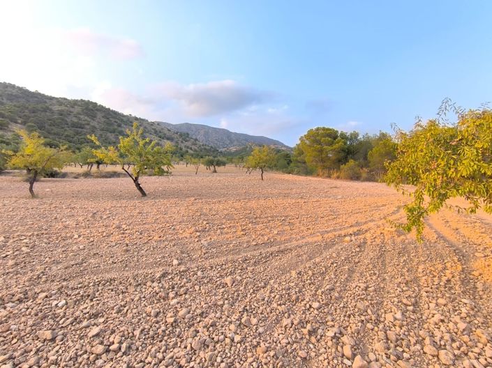 Image No.5-Land for sale