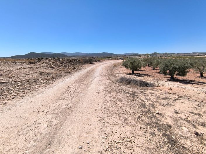 Image No.3-Terre à vendre à Monóvar