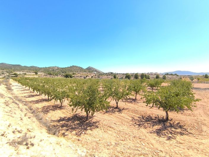 Image No.1-Land for sale
