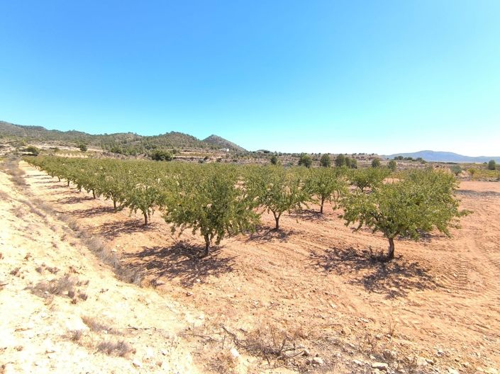 Image No.3-Land for sale