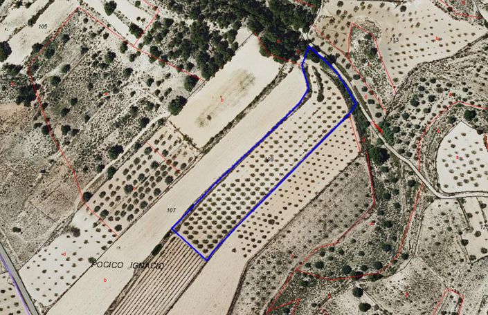 Image No.5-Terre à vendre à Monóvar