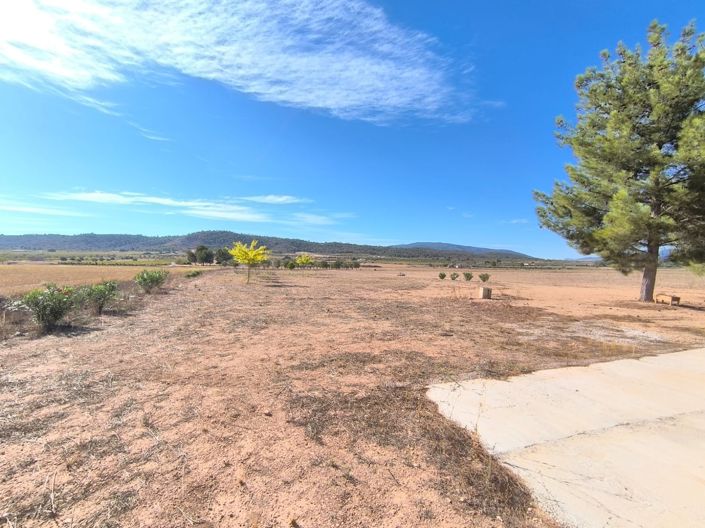 Image No.11-Maison de campagne de 1 chambre à vendre à Yecla