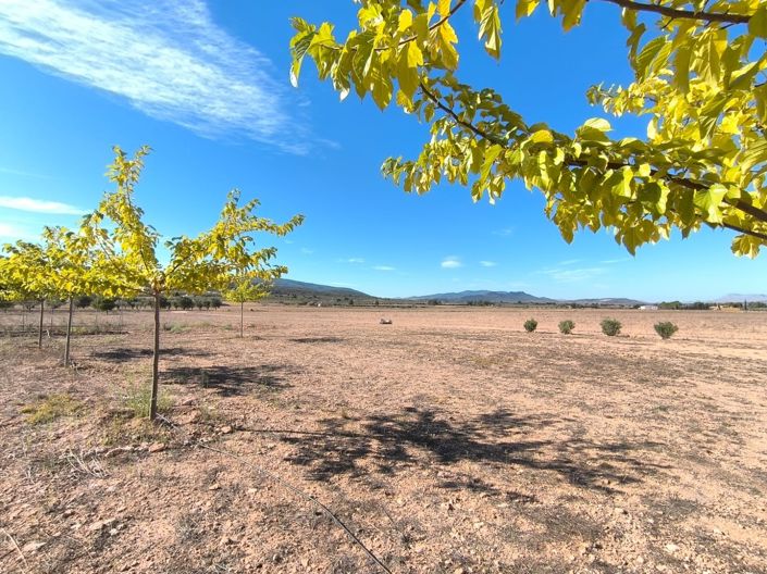 Image No.12-Maison de campagne de 1 chambre à vendre à Yecla