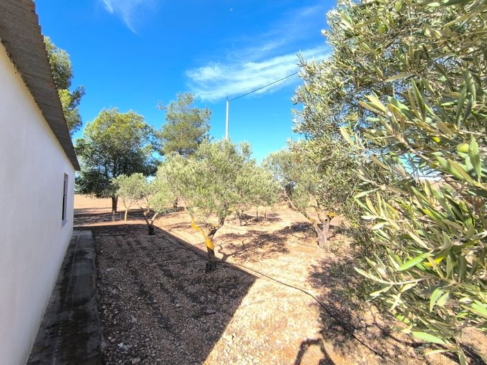 Image No.8-Maison de campagne de 1 chambre à vendre à Yecla