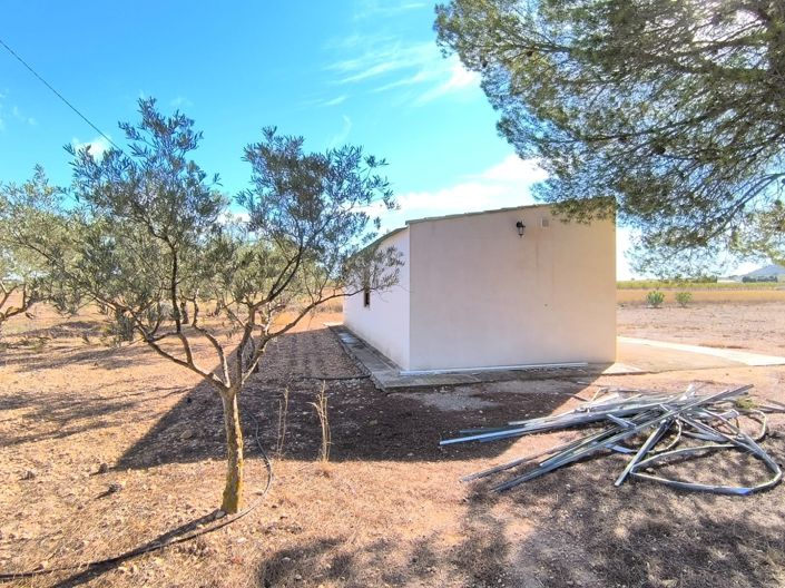 Image No.9-Maison de campagne de 1 chambre à vendre à Yecla