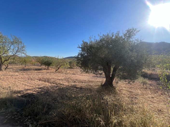 Image No.18-Maison de ville de 3 chambres à vendre à La Zarza