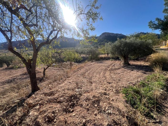 Image No.2-Maison de ville de 3 chambres à vendre à La Zarza