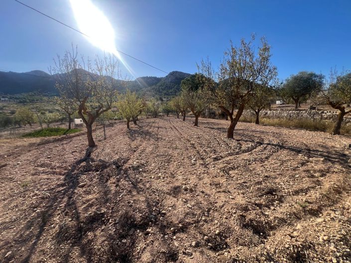 Image No.20-Maison de ville de 3 chambres à vendre à La Zarza