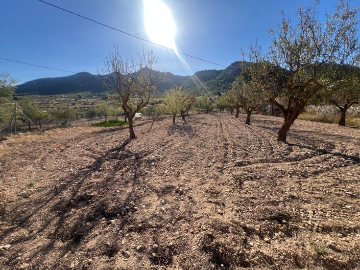 Image No.21-Maison de ville de 3 chambres à vendre à La Zarza