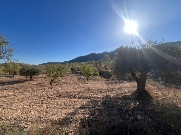 Image No.23-Maison de ville de 3 chambres à vendre à La Zarza