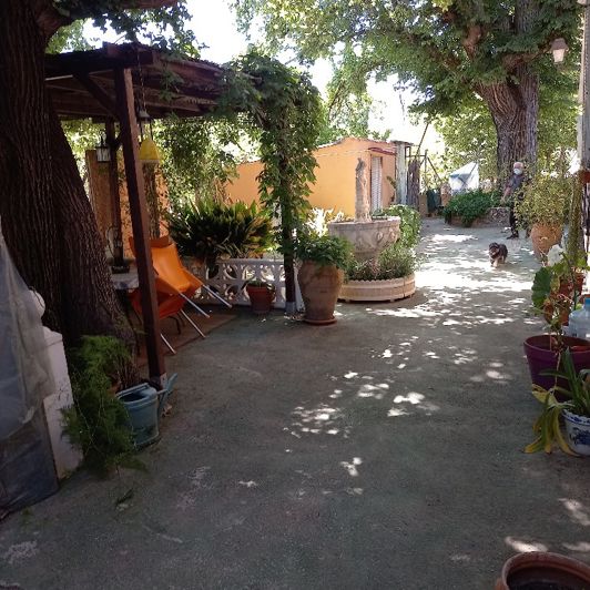 Image No.14-Villa de 6 chambres à vendre à Monóvar