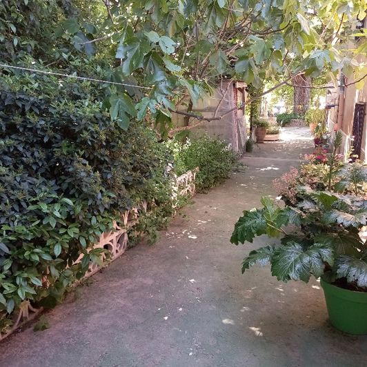 Image No.19-Villa de 6 chambres à vendre à Monóvar