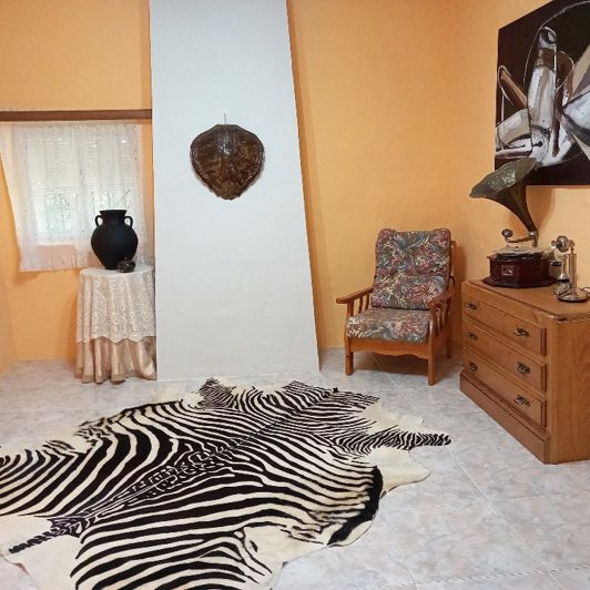 Image No.21-Villa de 6 chambres à vendre à Monóvar