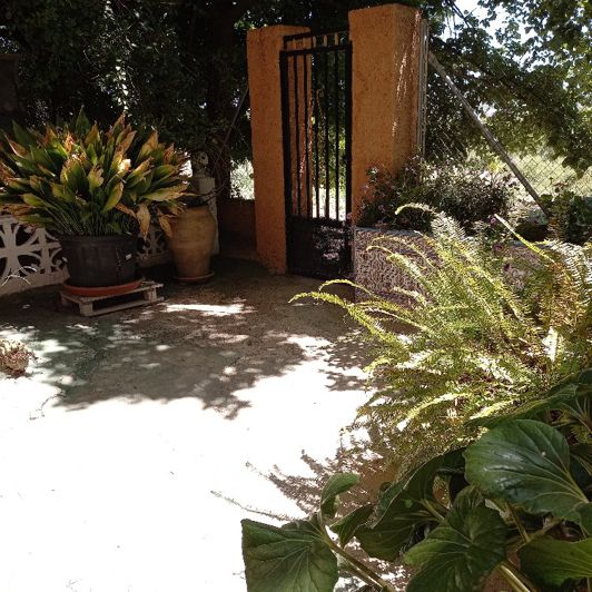 Image No.38-Villa de 6 chambres à vendre à Monóvar