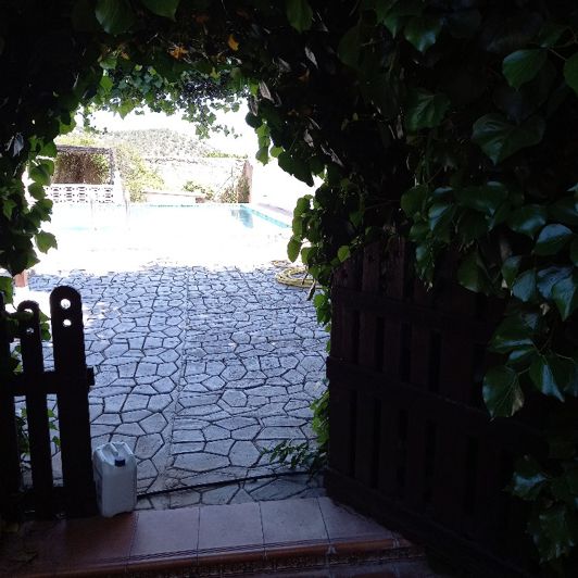 Image No.39-Villa de 6 chambres à vendre à Monóvar