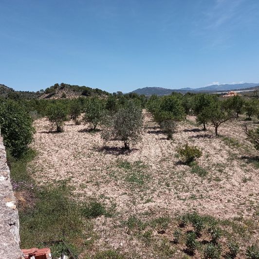 Image No.42-Villa de 6 chambres à vendre à Monóvar